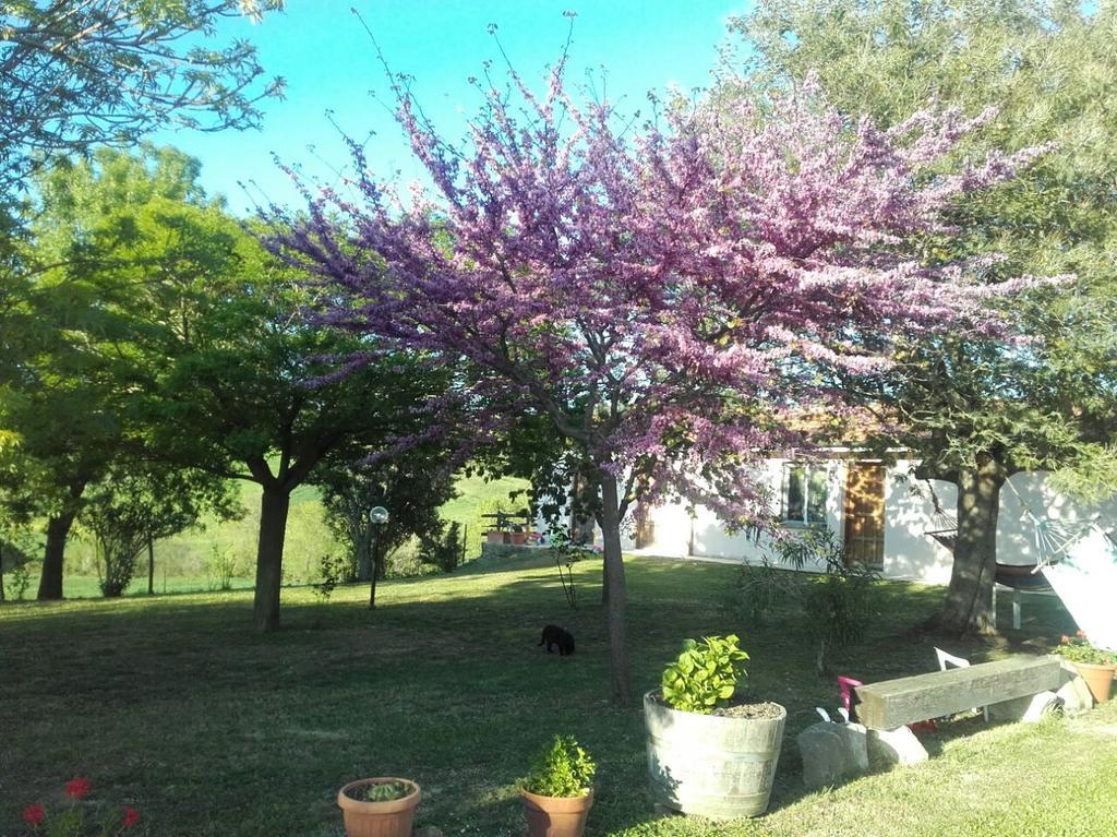 Agriturismo Da Remo Magliano in Toscana Exterior photo